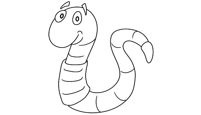 How to draw a worm