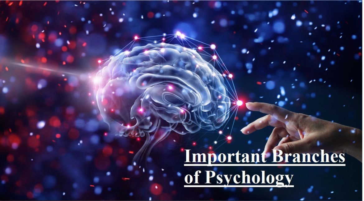 Branches of Psychology