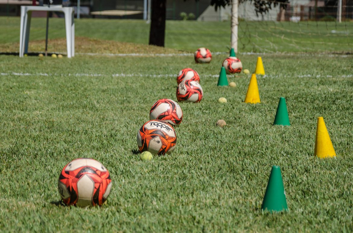 Training Cones