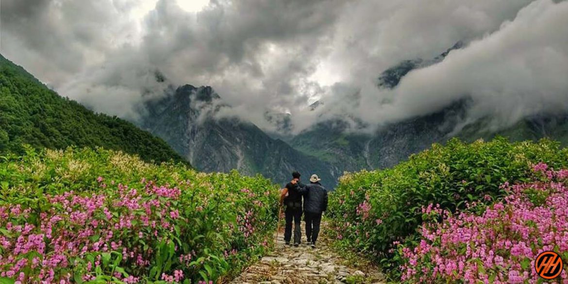 valley of flowers trek monsoon