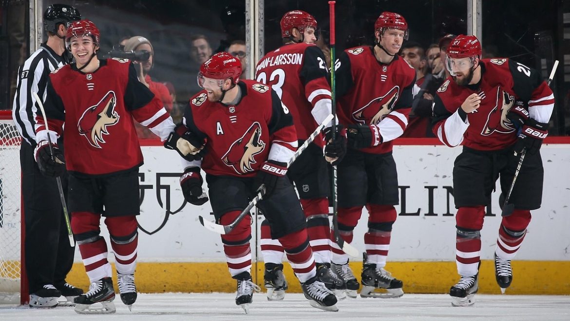 Arizona Coyotes