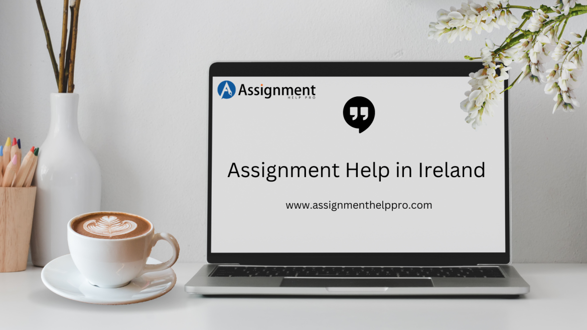 Assignment Help in Ireland
