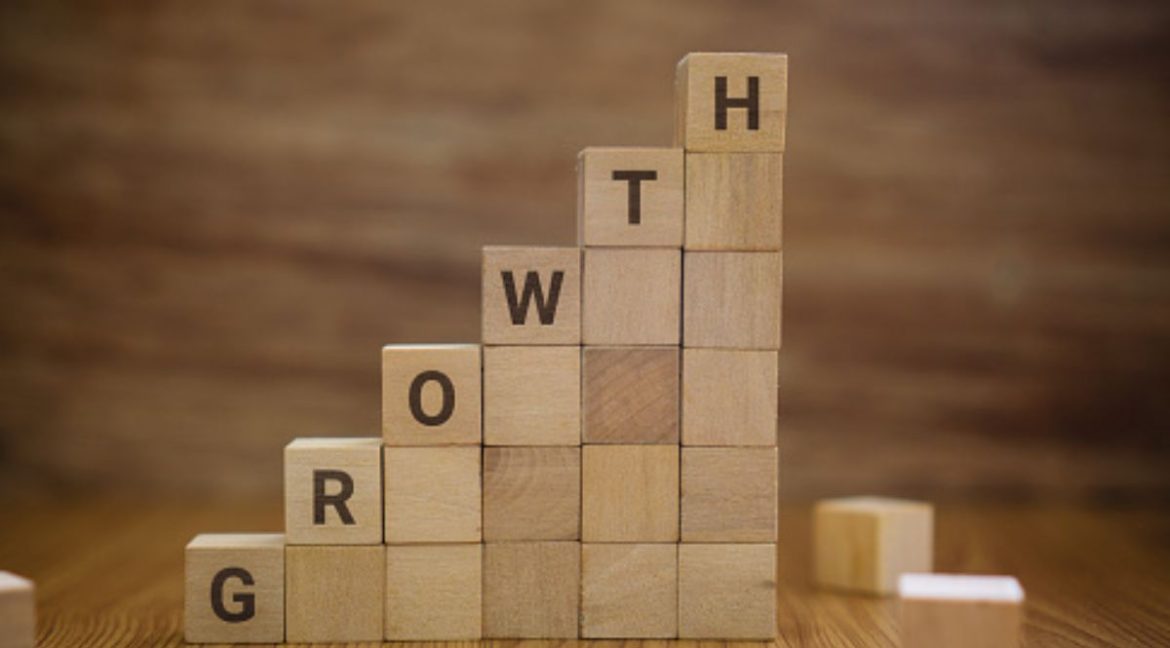 Business Growth Techniques Used by Successful Companies