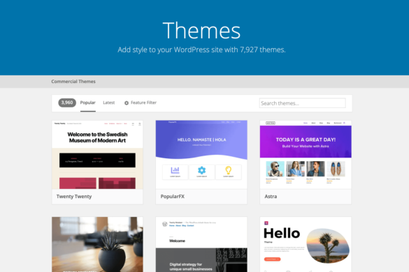 Website Themes
