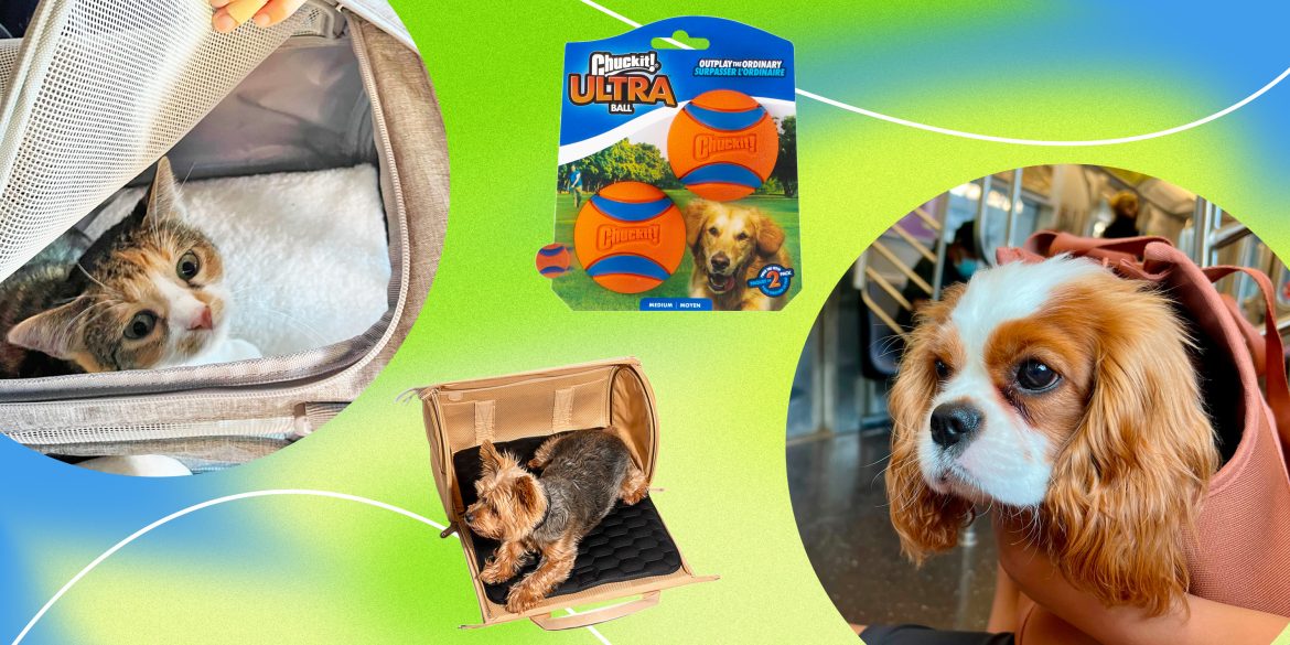 pet products Top ten Pet selling products in the US?