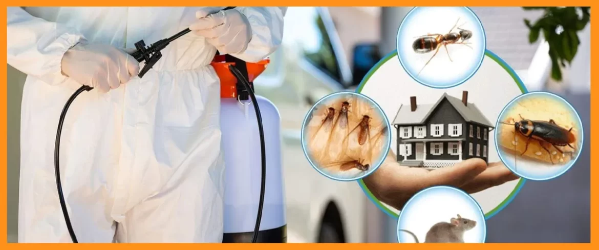 5 Reasons You Need Regular Pest Control in Your House 5 Reasons You Need Regular Pest Control in Your House