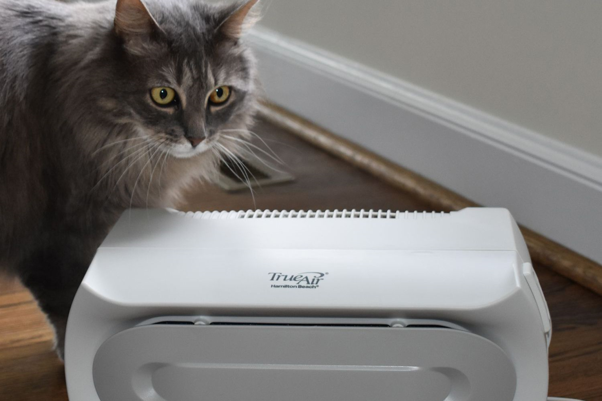 Air Purifier for Pet Dander What is it, and why do we need it Air Purifier for Pet Dander: What is it, and why do we need it?