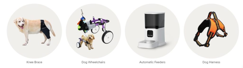 How can we find the best luxury accessories for dogs