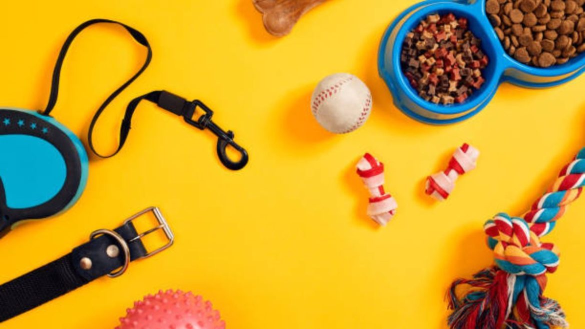 The stylish dog Products Suppliers - Luxury Dog Accessories for dogs