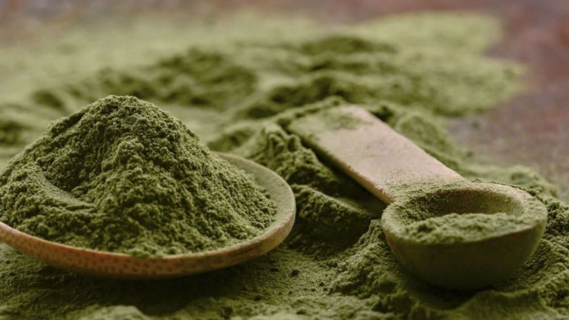 What Was Disclosed In Recent Research On Kratom By NIH