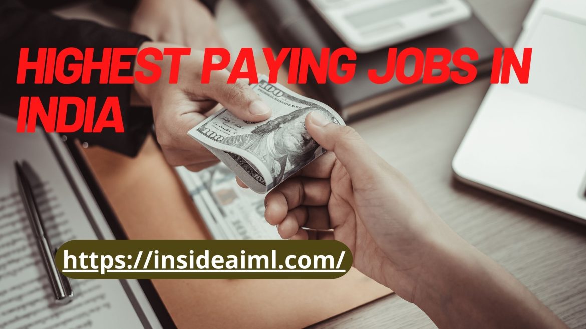 Highest Paying Jobs in India
