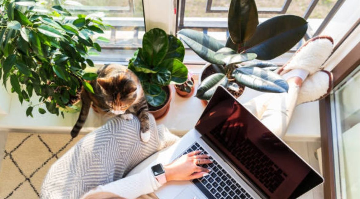 6 Conditions for Productivity When Working from Home 
