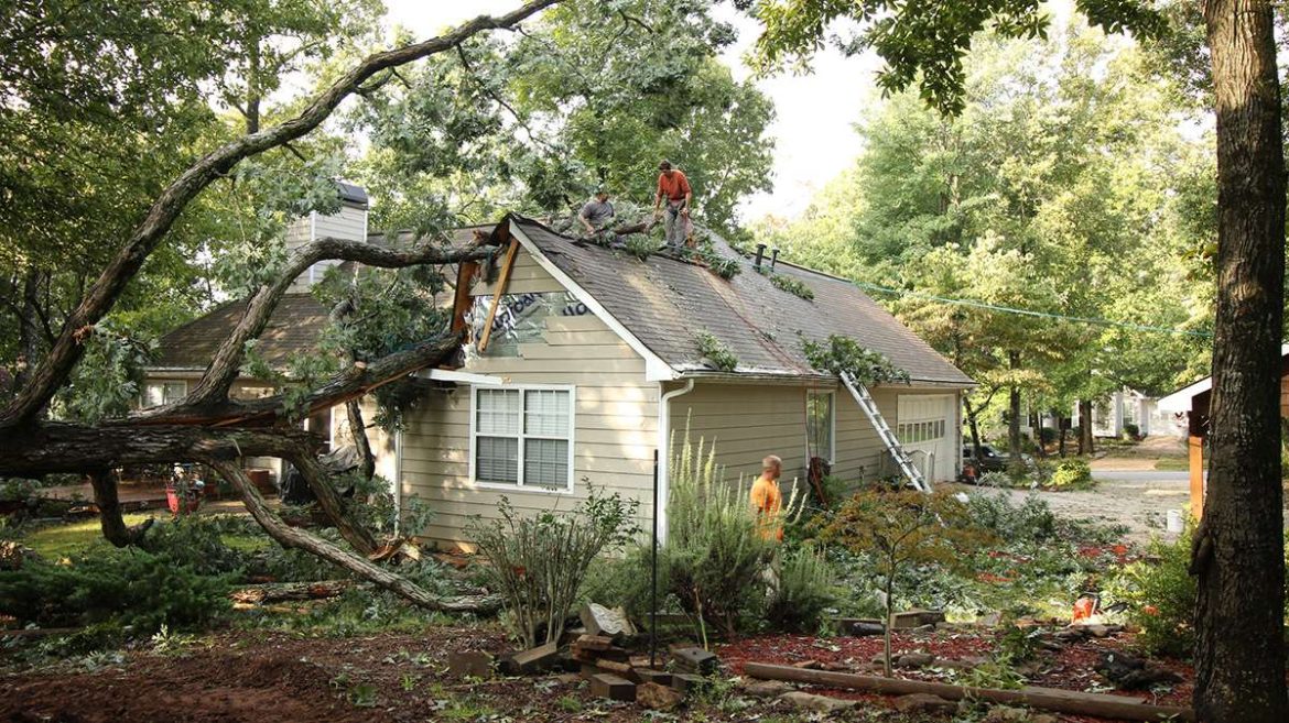 Storm Damage Restoration Services