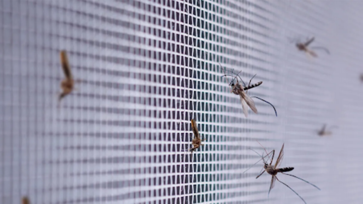 unnamed How to Keep Bugs Away Year Round