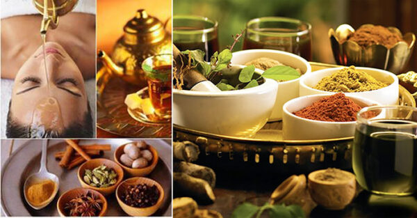Top Ayurvedic & Herbal Companies On The Market