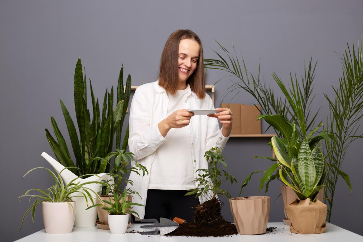 How to use indoor plants to create a more peaceful and serene home environment