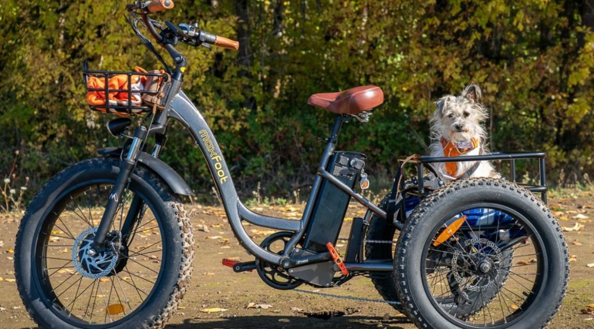 Exploring the Benefits of Electric Bikes with Fat Tires