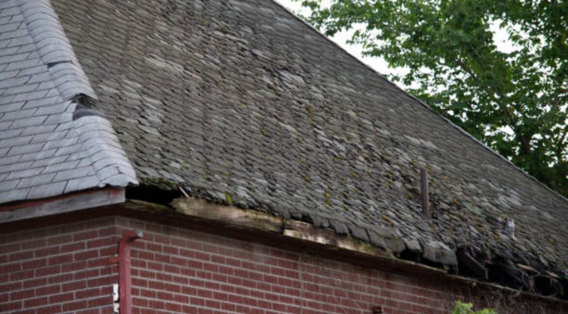 How much damage can roof rot cause?