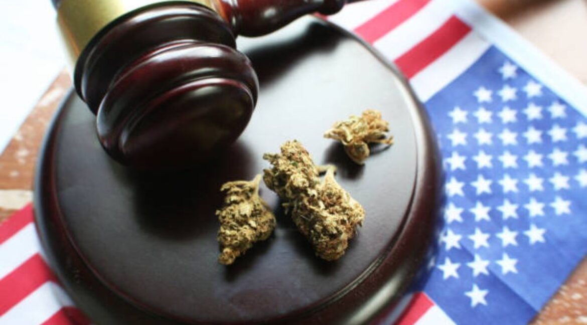 Legislative Changes and the Growing Demand for Cannabis Attorneys