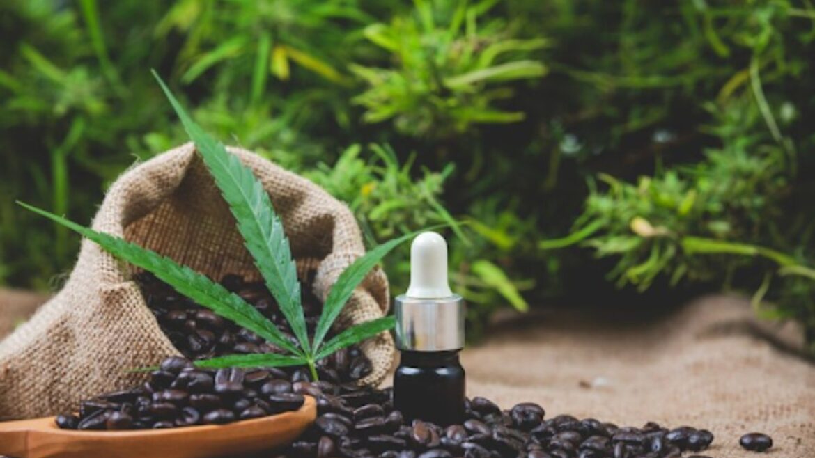 Untitled design – 2024-02-17T223803.923 Delta-8 vs. Delta-9 vs. Delta-10 What’s the Difference