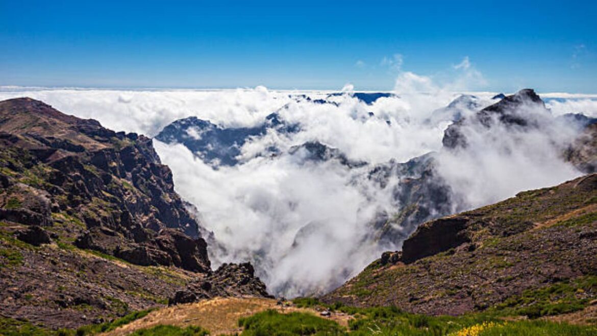 The Controversy Surrounding Pico - Ethical Considerations and Diverse Viewpoints