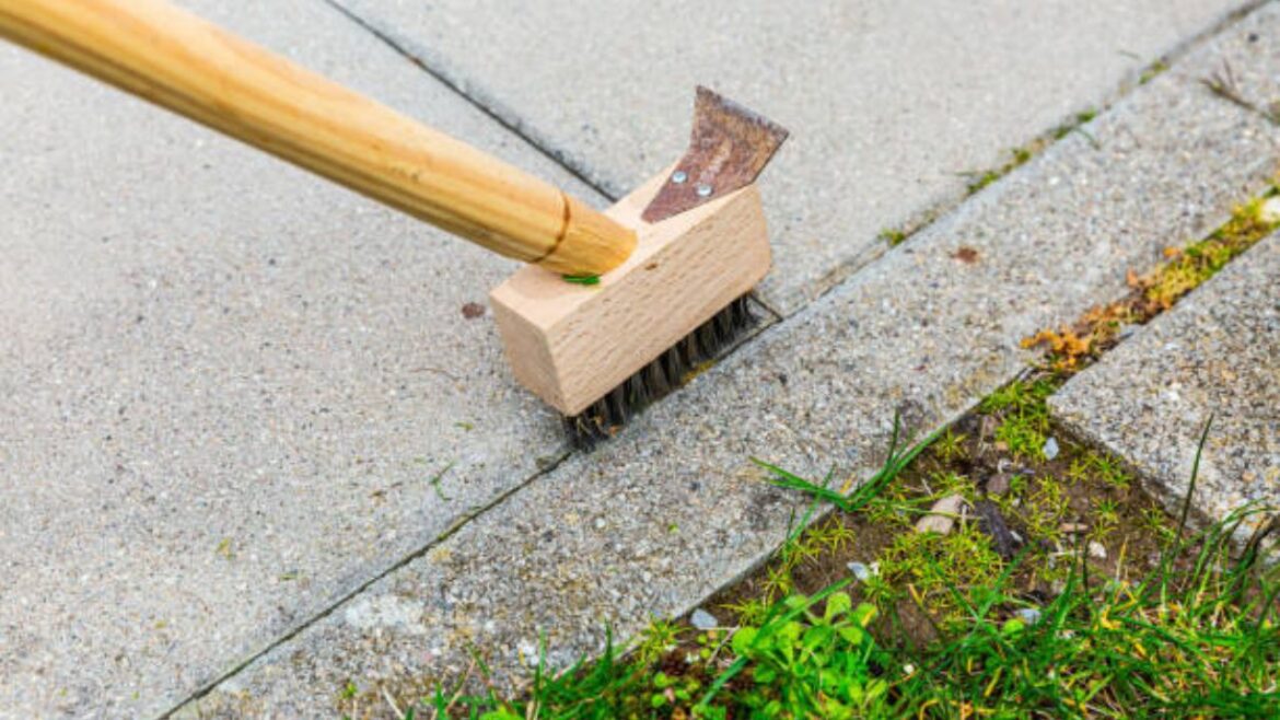 Revamping Your Outdoor Space