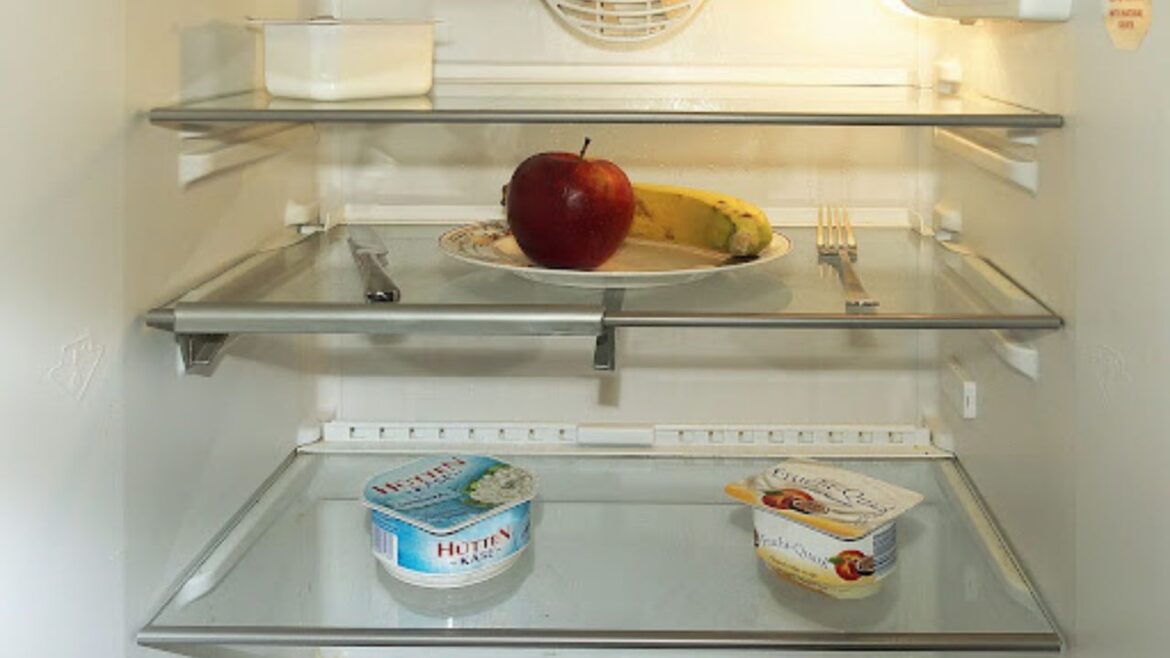 6 Easy Tips to Maintain Your Refrigerator