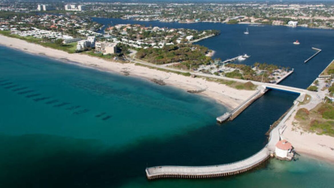 Finding the Best Vet in Boynton Beach: Your Comprehensive Guide