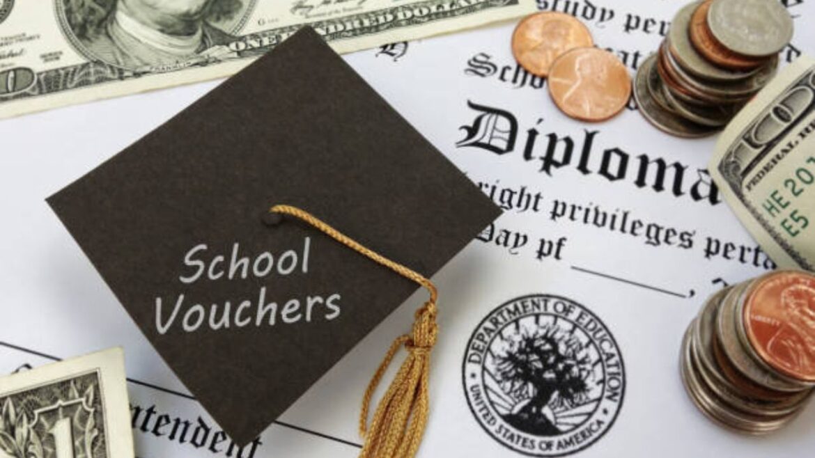 Top Tips from a Financial Advisor for Student Loans in the USA