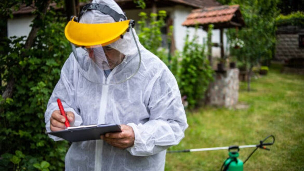 Pest Control in Eagle ID: Complete Guide to Keeping Your Home Pest-Free Year-Round