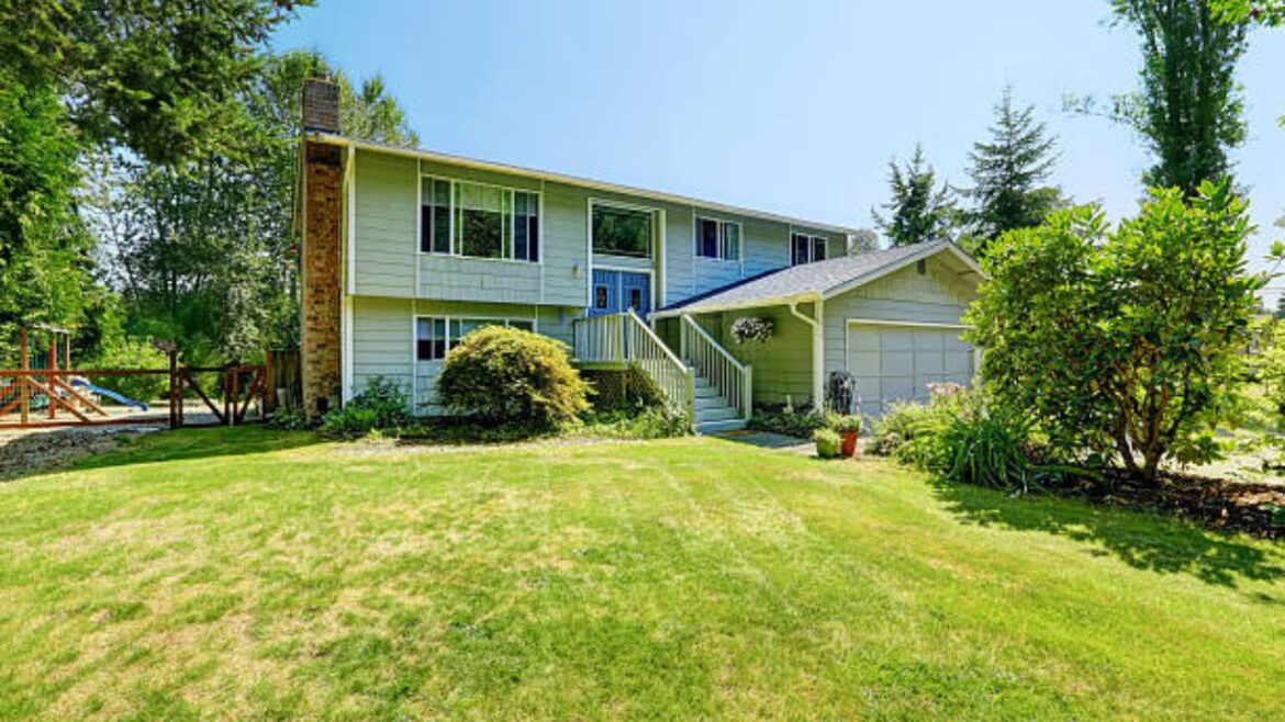 Summer Pest Prevention Strategies Every Puyallup Homeowner Should Know